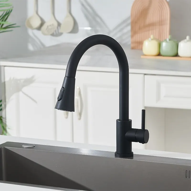Robinet de cuisine enracinée noire