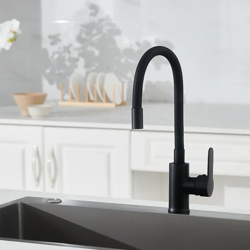 Robinet de cuisine noire multi-directionnelle